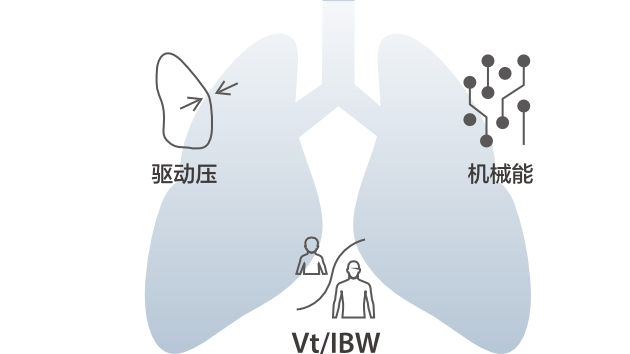 LETOU国际米兰·(中国区)官方网站