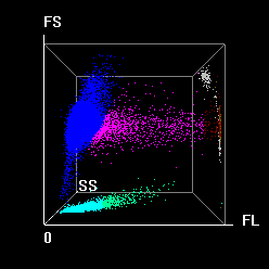 LETOU国际米兰·(中国区)官方网站