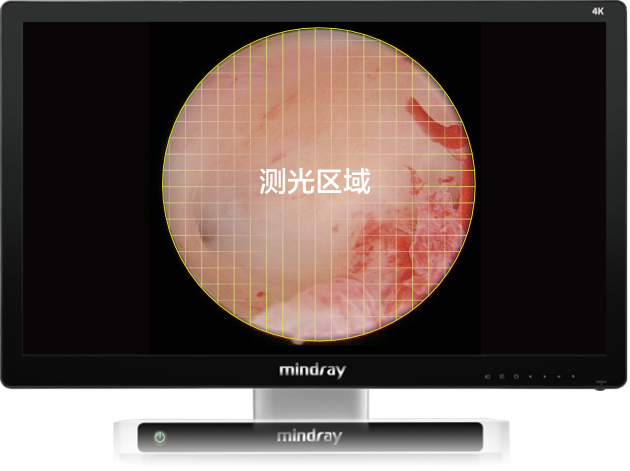 LETOU国际米兰·(中国区)官方网站