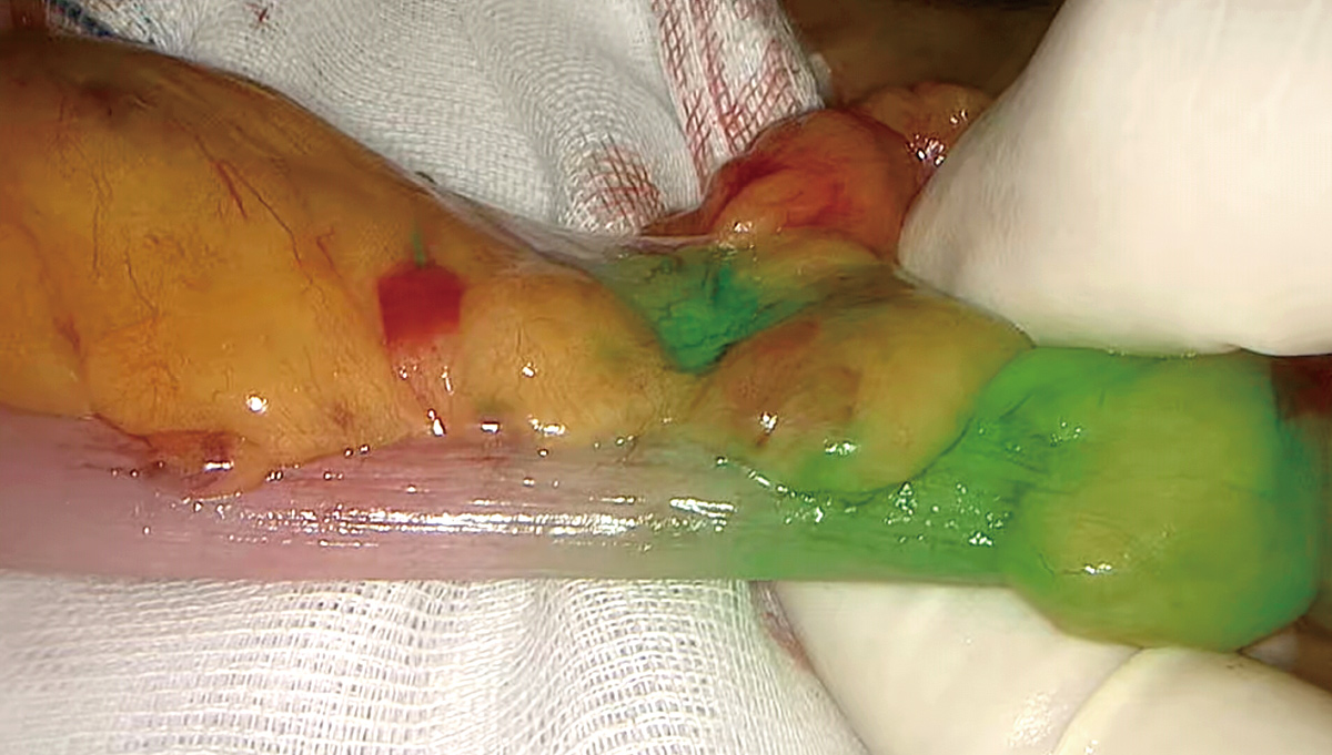 LETOU国际米兰·(中国区)官方网站