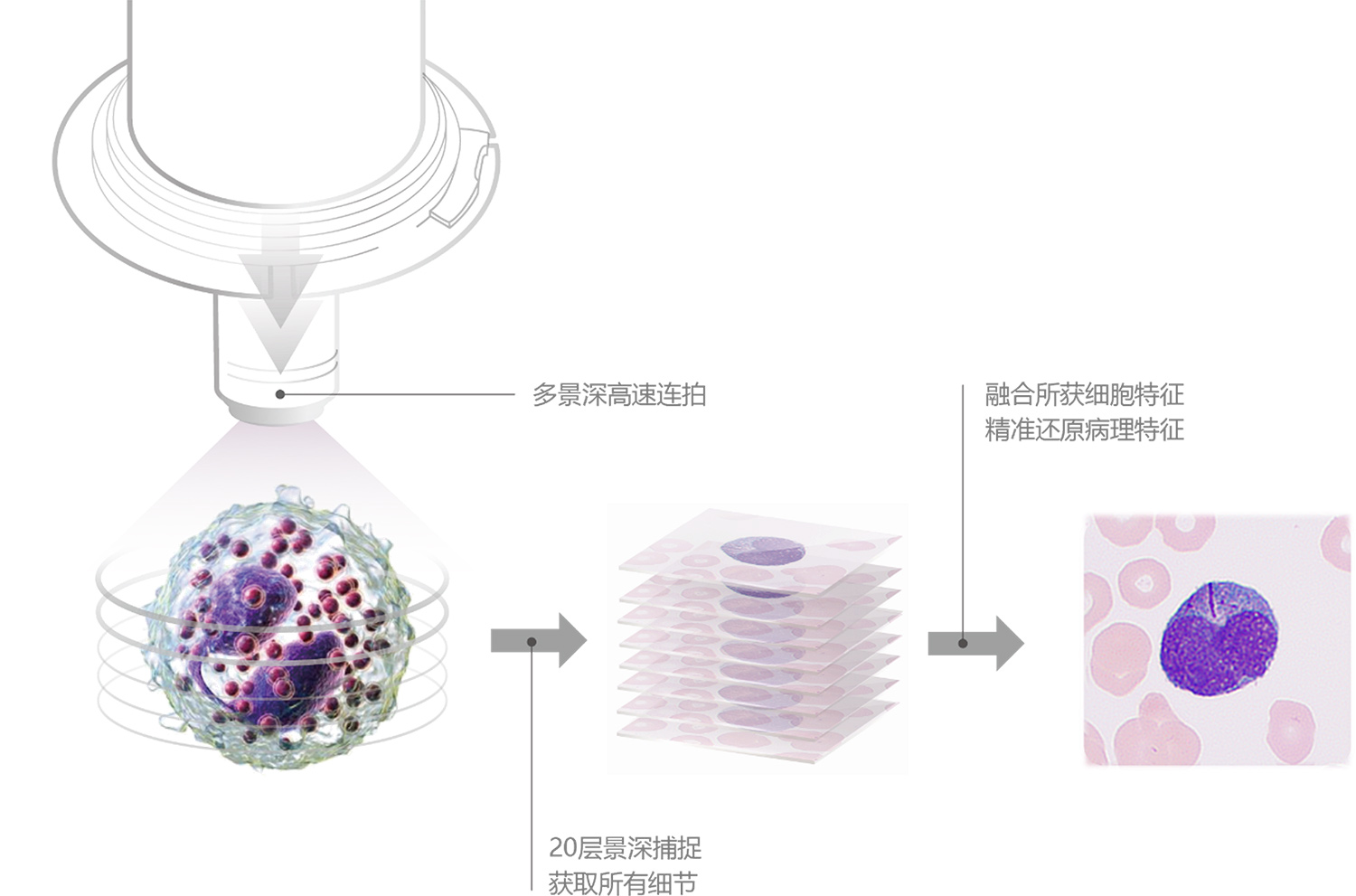 LETOU国际米兰·(中国区)官方网站