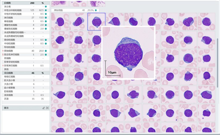 LETOU国际米兰·(中国区)官方网站