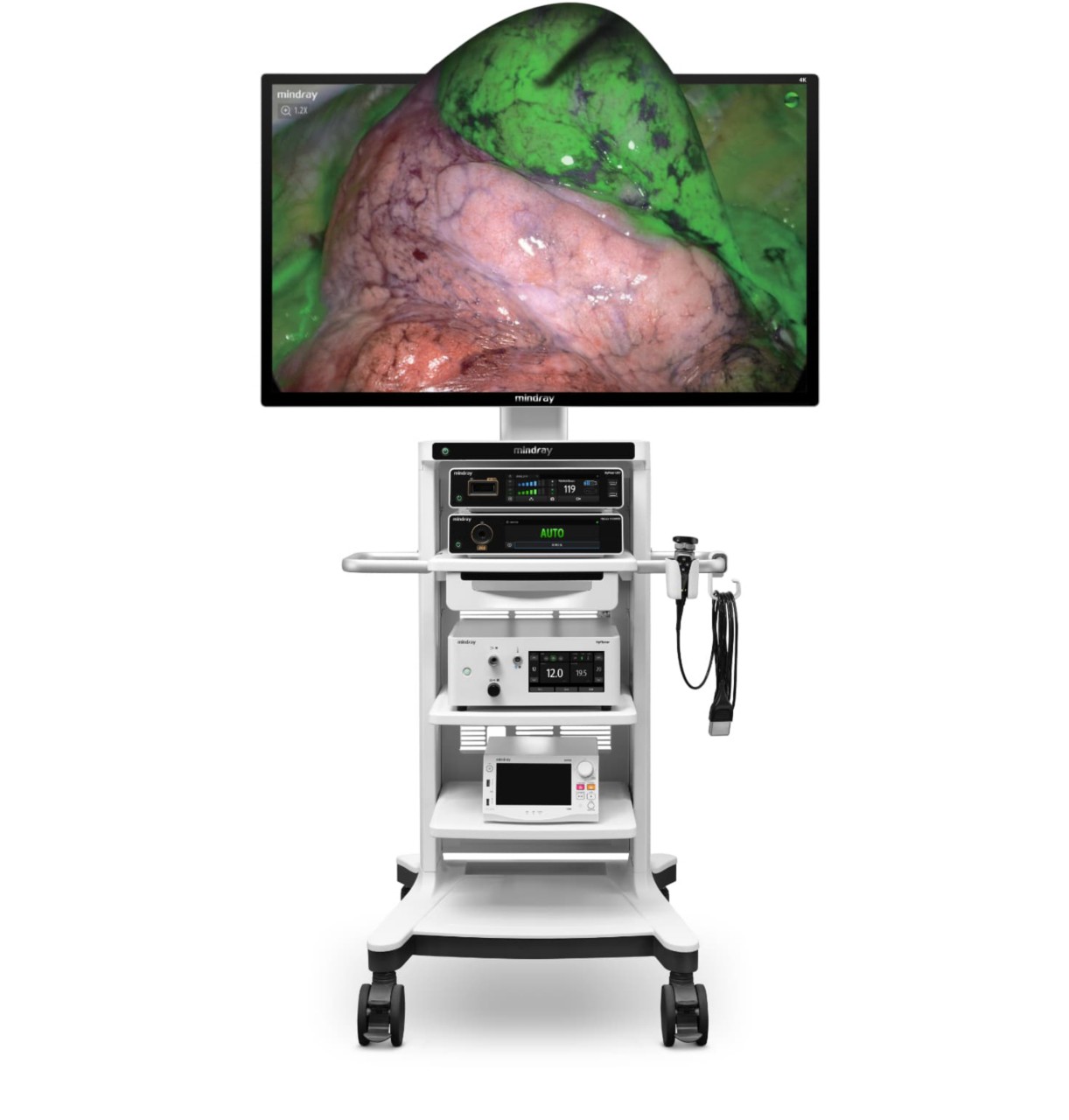 LETOU国际米兰·(中国区)官方网站