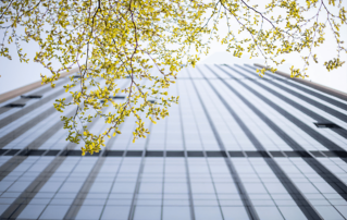 A classifica??o ESG da Mindray na MSCI subiu para o nível AA, e o desenvolvimento sustentável é sua for?a motriz central