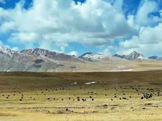 雪域高原上的耕作者