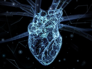 同期两篇医学磨练顶刊，，，，，，，letou国际米兰官网心肌肌钙卵白疾病特异性研究取得重大突破