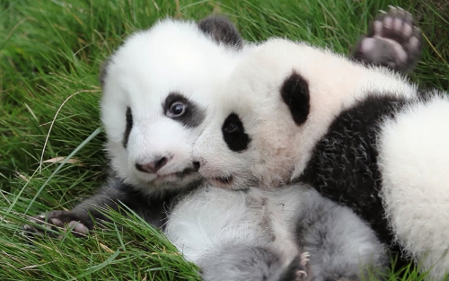 LETOU国际米兰·(中国区)官方网站